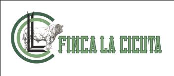 Imagen de FINCA LA CICUTA