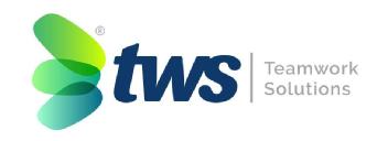 Imagen de TWS TEAMWORK SOLUTIONS