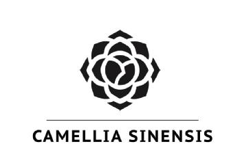 Imagen de CAMELLIA SINENSIS