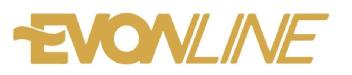 Imagen de EVONLINE