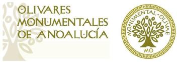 Imagen de OLIVARES MONUMENTALES DE ANDALUCIA MONUMENTAL OLIVAE MO