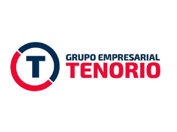 Imagen de T GRUPO EMPRESARIAL TENORIO
