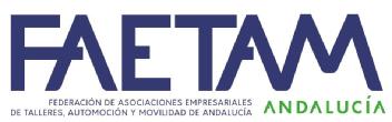 Imagen de FAETAM ANDALUCIA FEDERACIÓN DE ASOCIACIONES EMPRESARIALES DE TALLERES, AUTOMOCION Y MOVILIDAD DE ANDALUCIA