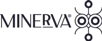 Imagen de MINERVA