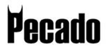 Imagen de Pecado