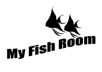 Imagen de MY FISH ROOM