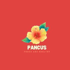 Imagen de PANCUS
