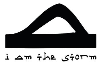 Imagen de I AM THE STORM