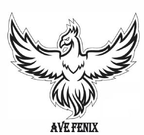 Imagen de AVE FENIX