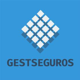 Imagen de GESTSEGUROS