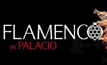 Imagen de FLAMENCO EN PALACIO
