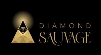 Imagen de D DIAMOND SAUVAGE