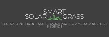 Imagen de SMART SOLAR GRASS EL CESPED INTELIGENTE QUE SE CARGA POR EL DIA Y POR LA NOCHE SE ENCIENDE