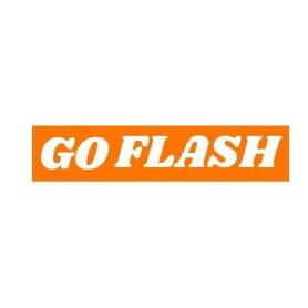 Imagen de GO FLASH