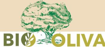 Imagen de BIO OLIVA