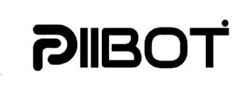 Imagen de PIIBOT