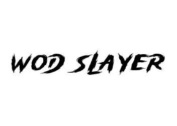 Imagen de WOD SLAYER