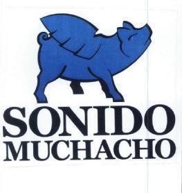 Imagen de SONIDO MUCHACHO