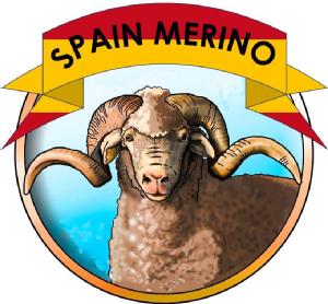Imagen de SPAIN MERINO