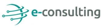Imagen de e-consulting