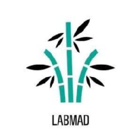 Imagen de LABMAD