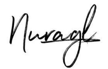 Imagen de Nuragl