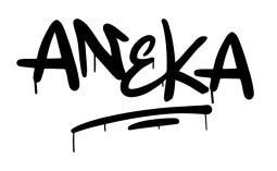 Imagen de ANEKA