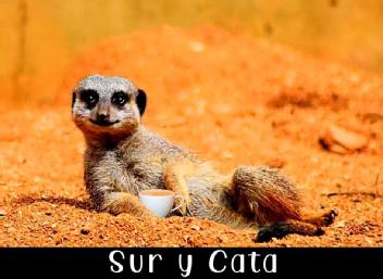 Imagen de SUR Y CATA