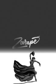 Imagen de ZARAPE