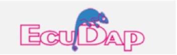 Imagen de ECUDAP