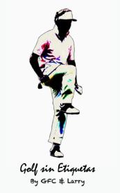 Imagen de GOLF SIN ETIQUETAS