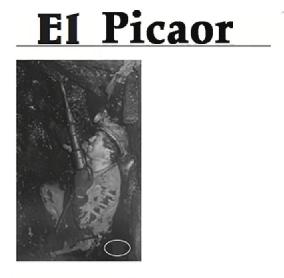 Imagen de EL PICAOR