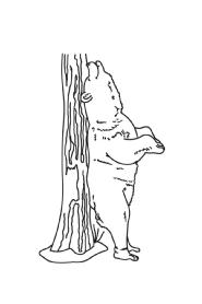 Imagen de Oso rascandose la espalda