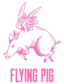 Imagen de FLYING PIG