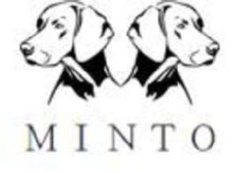 Imagen de Minto