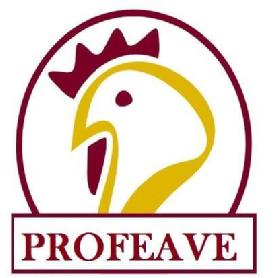 Imagen de PROFEAVE