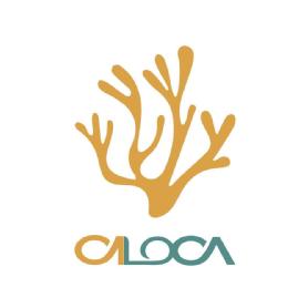 Imagen de CALOCA