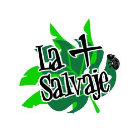 Imagen de LA MÁS SALVAJE