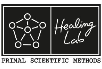 Imagen de HEALING LAB PRIMAL SCIENTIFIC METHODS