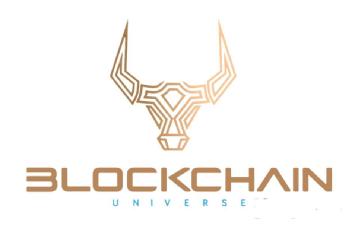 Imagen de BLOCKCHAIN UNIVERSE