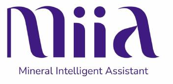 Imagen de miia Mineral Intelligent Assitant