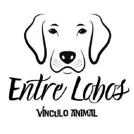 Imagen de Entre Lobos Vínculo animal
