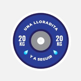 Imagen de Una lloradita y a seguir