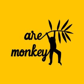 Imagen de ARE MONKEY