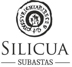Imagen de SILICUA SUBASTAS
