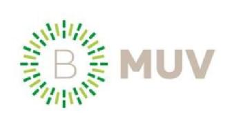 Imagen de B MUV