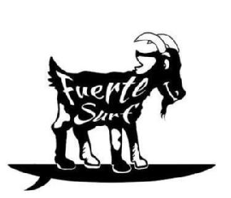 Imagen de FUERTE SURF