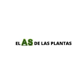 Imagen de Las letras A y S están hechas de hojas