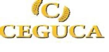 Imagen de C CEGUCA