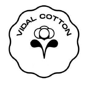 Imagen de VIDAL COTTON